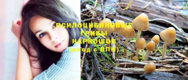 прущая мука Алзамай