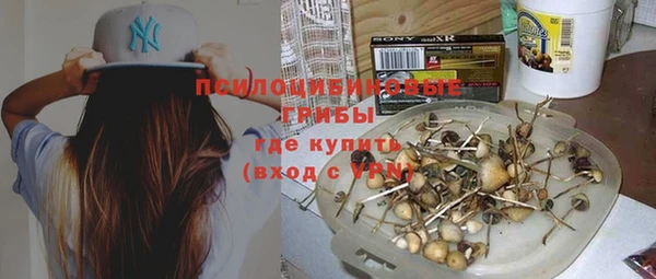 a pvp Протвино