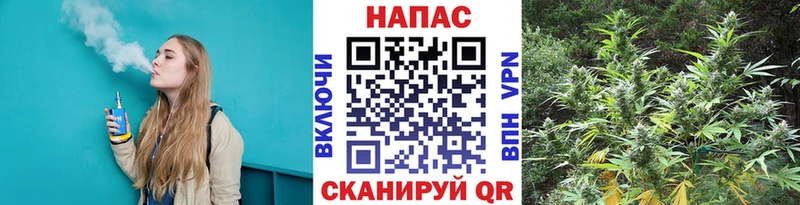 Каннабис план Калязин